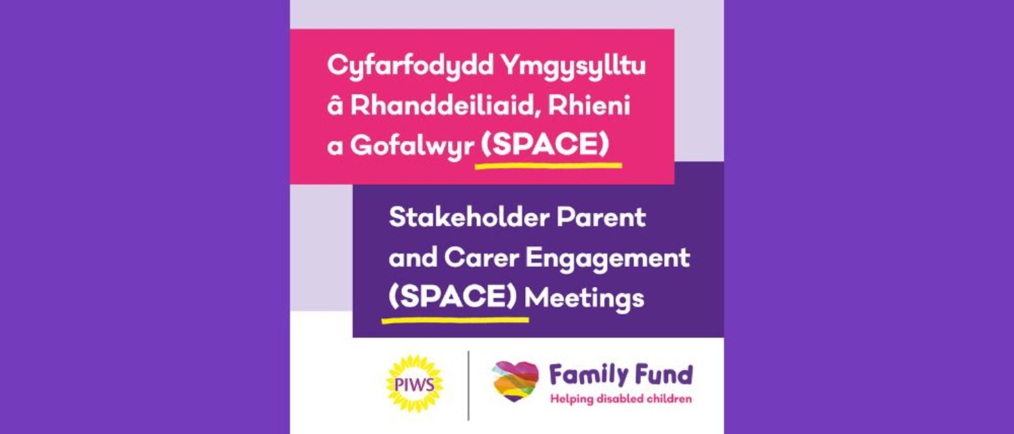 A graphic with text that reads: Stakeholder Parent and Carer Engagement (SPACE) meetings. Family Fund and PIWS logos