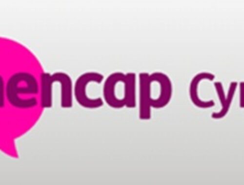Mencap Cymru logo