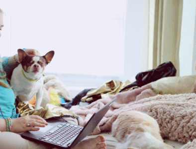 A young woman sits on a bed looking at a laptop whilst stroking a dog