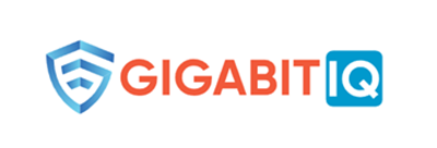 Gigabit IQ