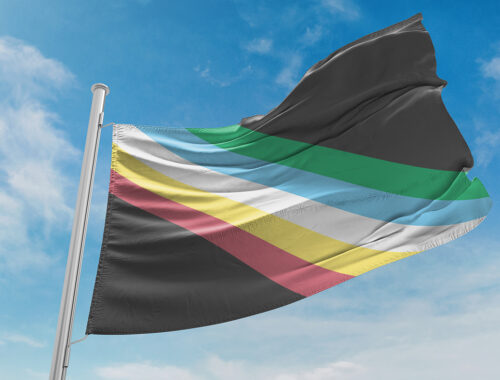 Disability Pride Flag WEB