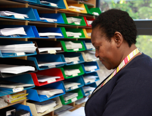 a staff member sorting mail and working on paper applications with sorting trays behind her