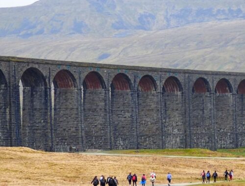 Part of the Yorkshire Three Peaks route with walkers heading towards the Ribblehead Viaduct