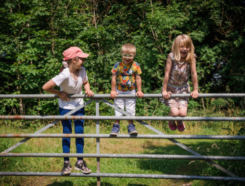 Three siblings stood in the countryside at a metal gate looking into a field